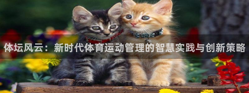 一竞技官网下载招商电话:体坛风云:新时代体育运动管理的智慧实