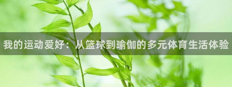 海南一竞技官网下载:我的运动爱好:从篮球到瑜伽的多元体育生活