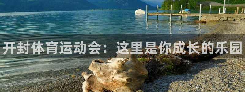 一竞技官网下载娱乐:开封体育运动会:这里是你成长的乐园