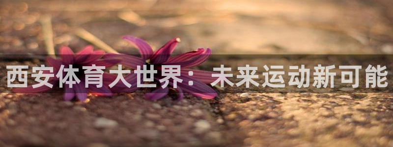 一竞技官网下载平台注册要钱吗安全吗:西安体育大世界:未来运动