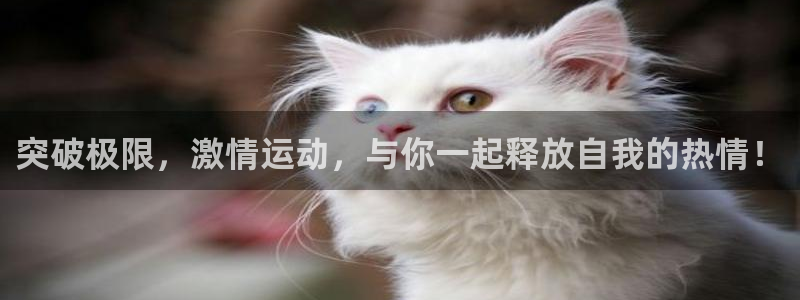 一竞技官网下载招商电话地址是多少:突破极限,激情运动,与你一